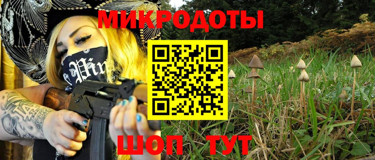 Псилоцибиновые грибы Cubensis  Вход с VPN  Мытищи 